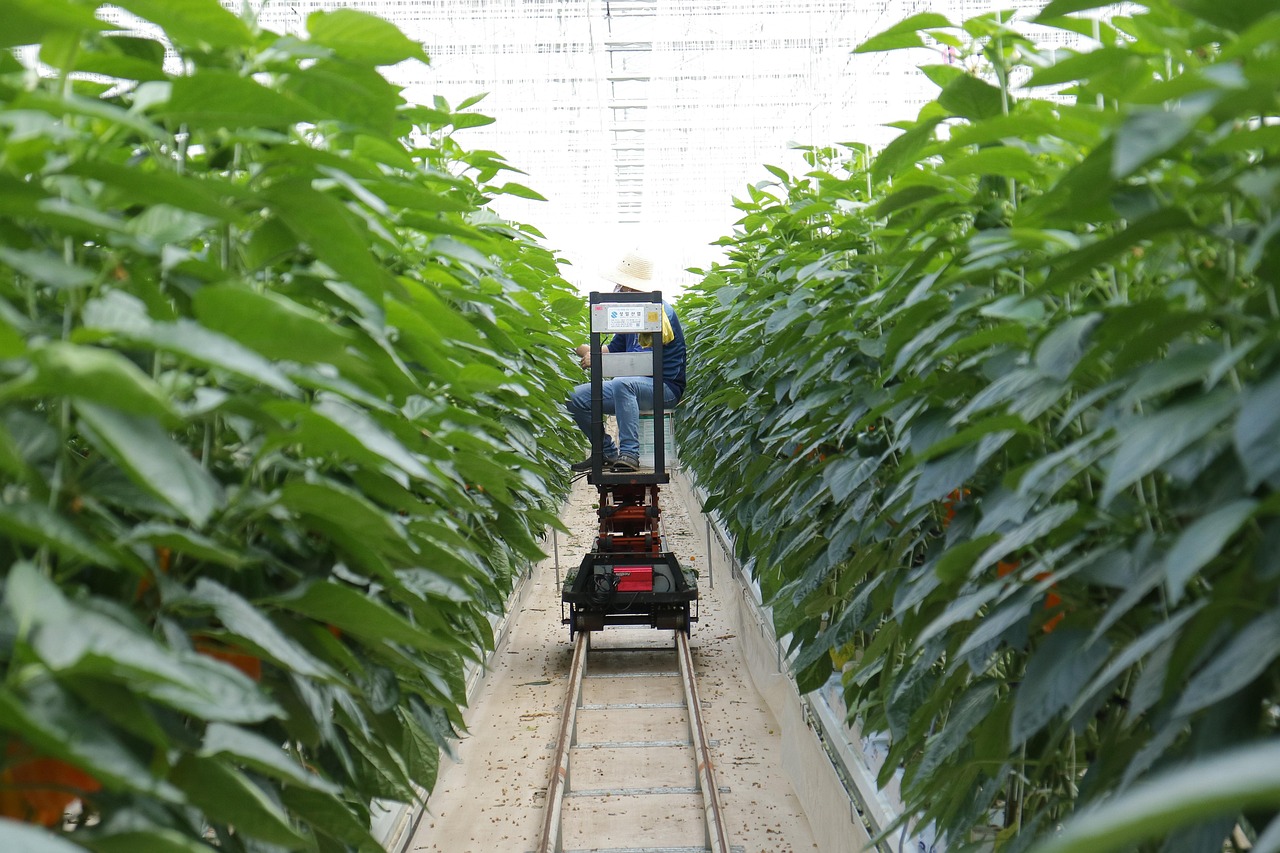 楼顶隔热保温防水哪种效果最好，楼顶隔热保温防水哪种效果最好呢